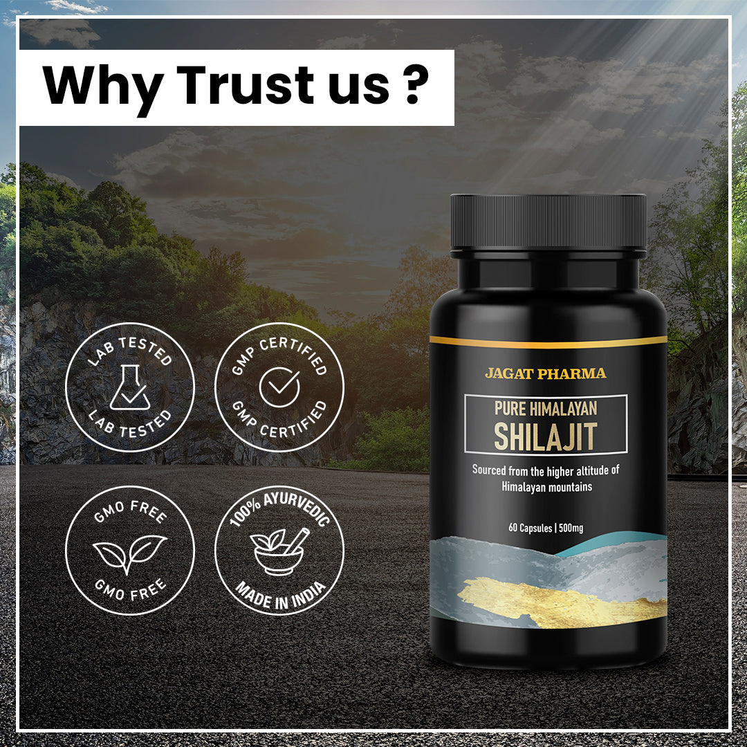 Pure Himalayan Shilajit - Revitalize Your Essence with Pure Himalayan Shilajit