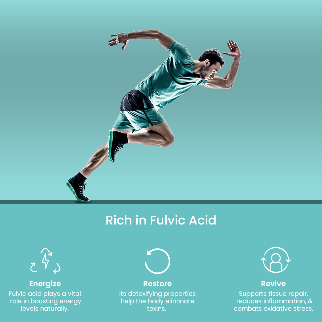 Himalayan Shilajit Gold Plus Resin - Nature's Golden Touch for Enduring Wellness