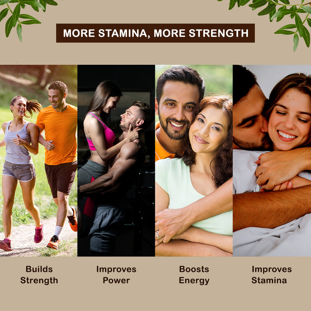 Premium Himalayan Shilajit / Shilajeet
